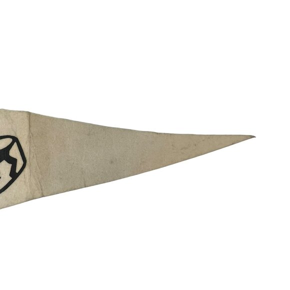 IHL Cleveland Lumberjacks Vintage 90's Pennant Sticker Button Lot Wincraft NWT - Picture 7 of 7